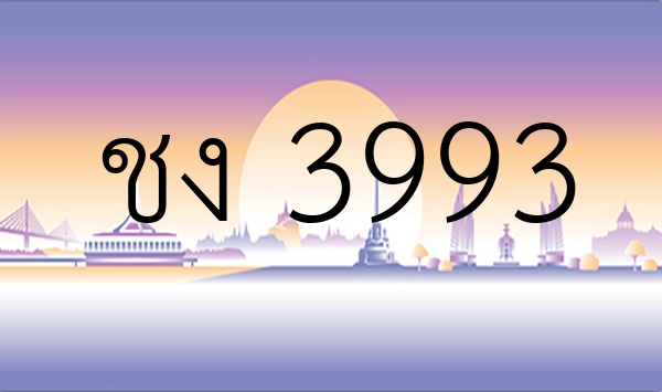 ชง 3993